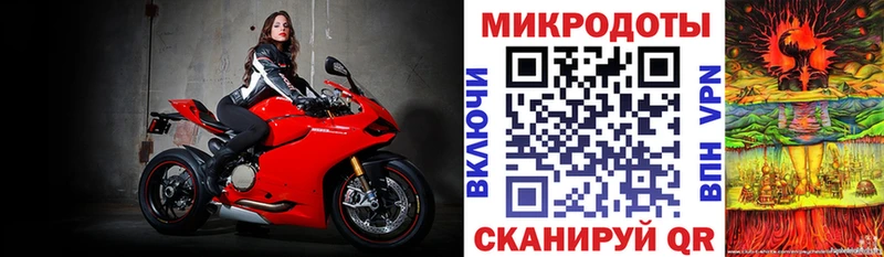 закладки  Брюховецкая  Псилоцибиновые грибы ЛСД 